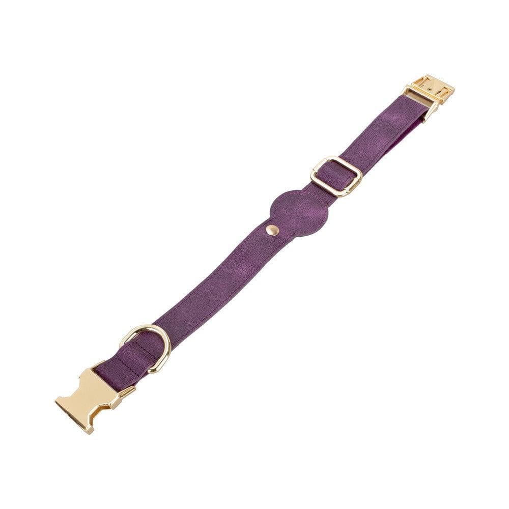 Scooby Leather Dog Collar With Air Tag Slot